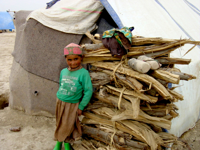 Boy at Wood Pile